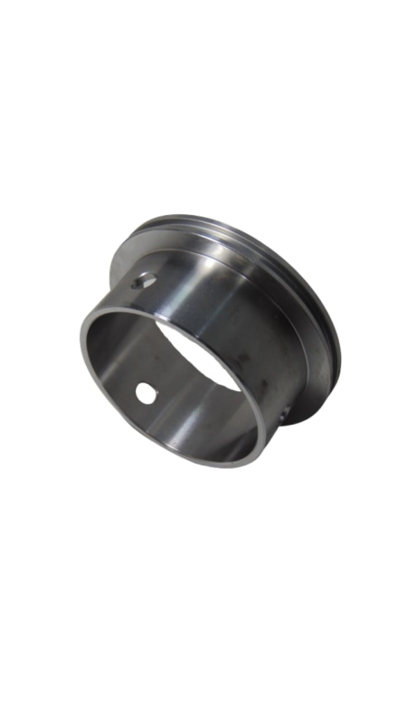 6204504-PANEG. BUCHA