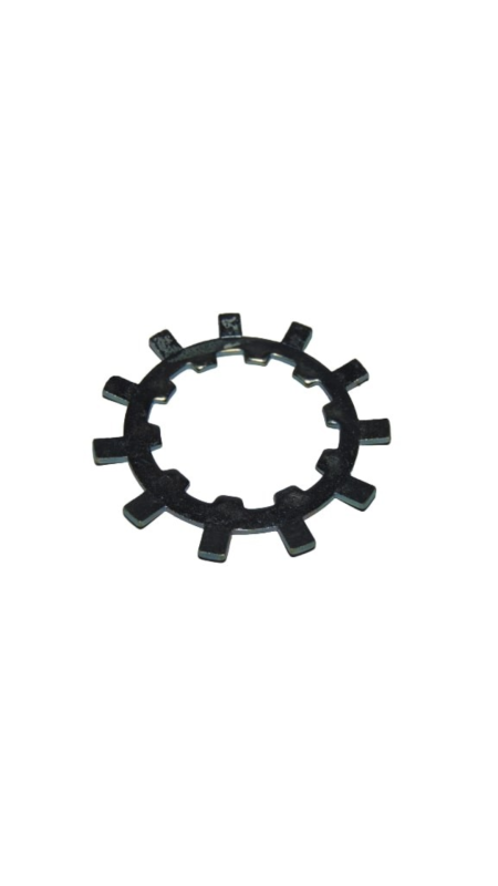 ANEL ARANHA DO PINHAO