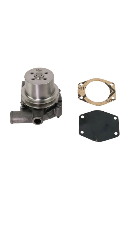 BOMBA DAGUA C/ POLIA