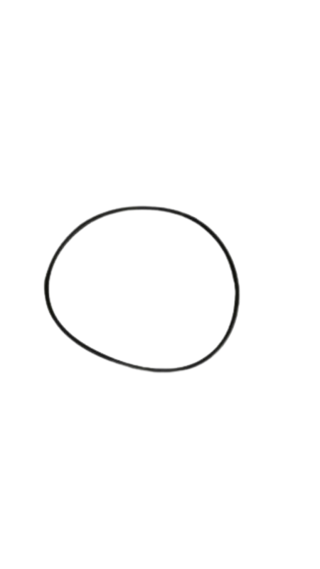 ANEL BORRACHA DA CAMISA MOTOR - AGEL